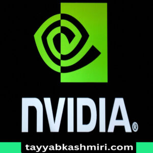 Investing in the next phase of AI race after Nvidia earnings